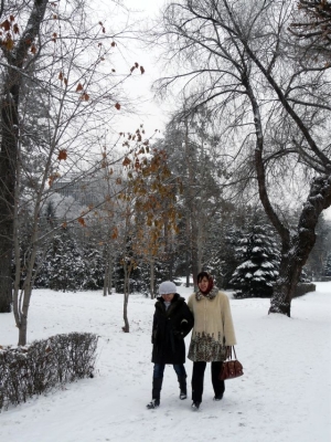 wandelende dames in het besneeuwde park