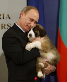 Poetin en zijn pup